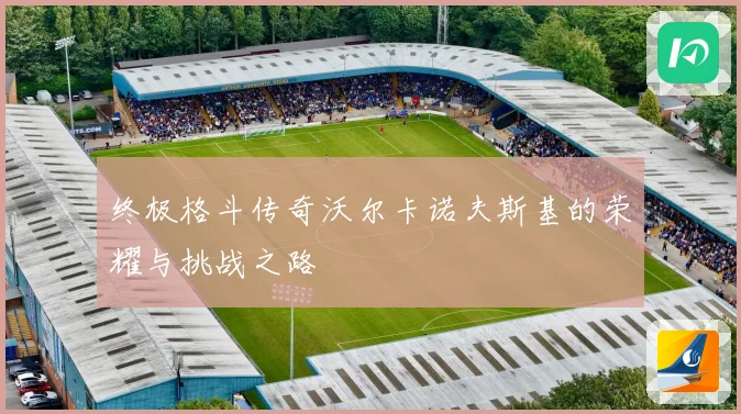 终极格斗传奇沃尔卡诺夫斯基的荣耀与挑战之路